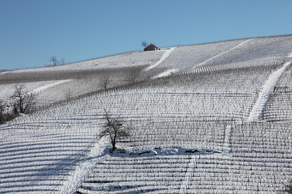 B&B Acaso Serralunga d'Alba Zewnętrze zdjęcie